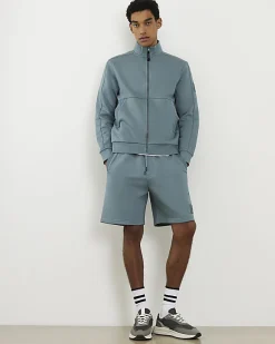 Blue Regular Fit Shorts