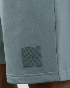 Blue Regular Fit Shorts