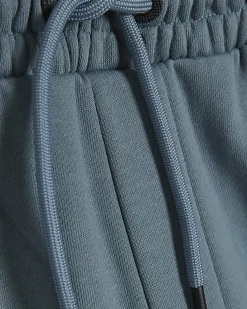Blue Regular Fit Shorts