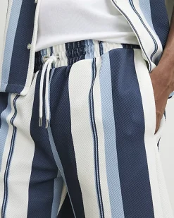 Blue Regular Fit Textured Stripe Shorts