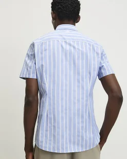 Blue Slim Fit Stripe Shirt