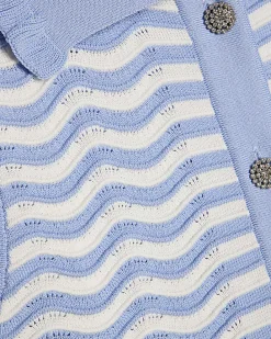 Blue Striped Knit Collared Tank Top