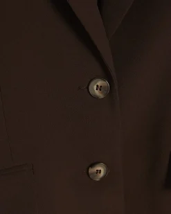 Brown Long Sleeve Single Breasted Blazer