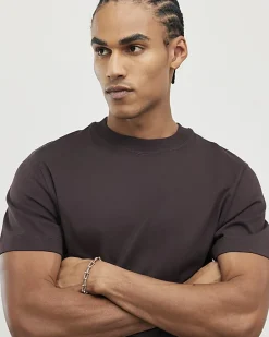 Brown Regular Fit Crew Neck T-Shirt