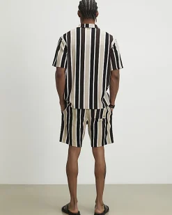 Brown Slim Fit Stripe Shorts