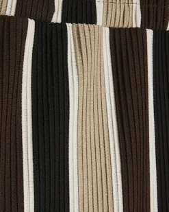 Brown Slim Fit Stripe Shorts