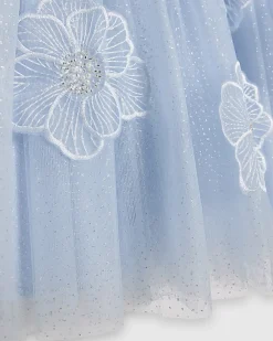 Girls Blue Puff Sleeve Floral Tulle Dress