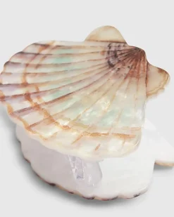 Pink Shell Hair Claw Clip