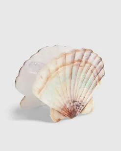 Pink Shell Hair Claw Clip